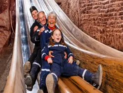 Salzburg Super-Saver Combo: Original Sound Of Music & Salt Mines Tour